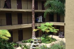 Quality Inn Apartments Courtyard